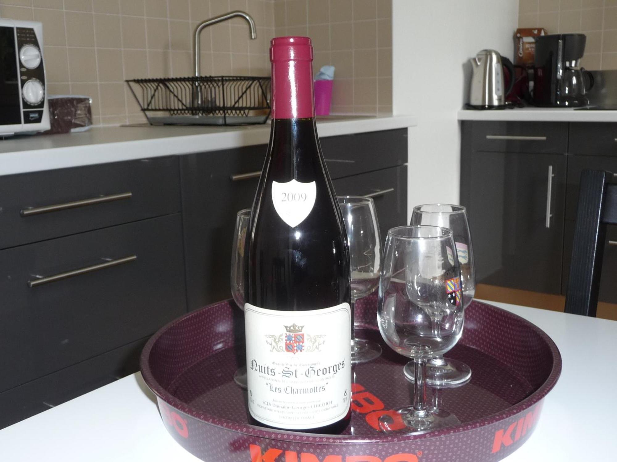 Les Charmottes Apartment Nuits-Saint-Georges Bagian luar foto